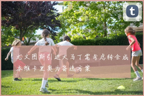 尤文图斯引进大马丁需考虑转会成本维卡里奥为备选方案